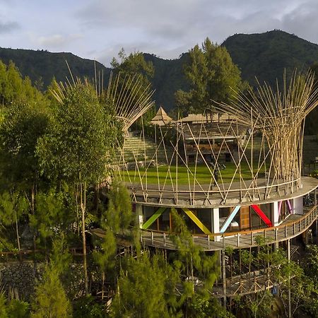 Pagupon Bromo Budget Lodge Exteriör bild