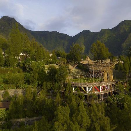 Pagupon Bromo Budget Lodge Exteriör bild