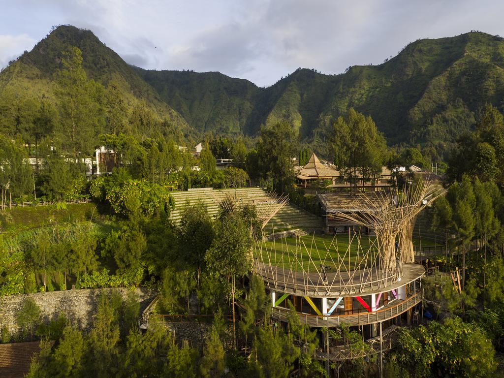 Pagupon Bromo Budget Lodge Exteriör bild